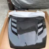 AMS-GT Hood